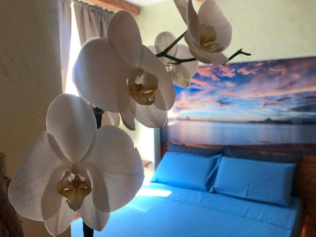 Dream & Relax Villa Fiore Bari Dış mekan fotoğraf